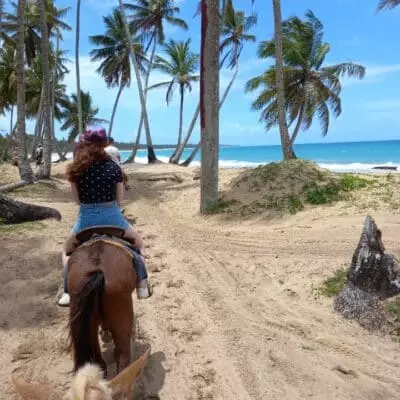 Voyageurs à cheval sur une plage bordée de palmiers en République dominicaine.