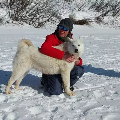Voyageur accompagné d’un chien samoyède dans un paysage enneigé lors d’un séjour hivernal au Québec.