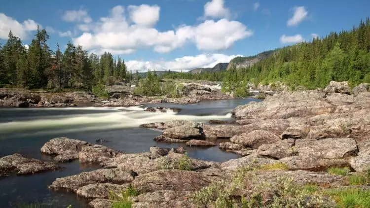 Rivière traversant un paysage rocheux et forestier près de Vilhelmina