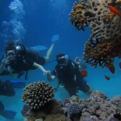 séjour plongée récifs coralliens mer rouge égypte