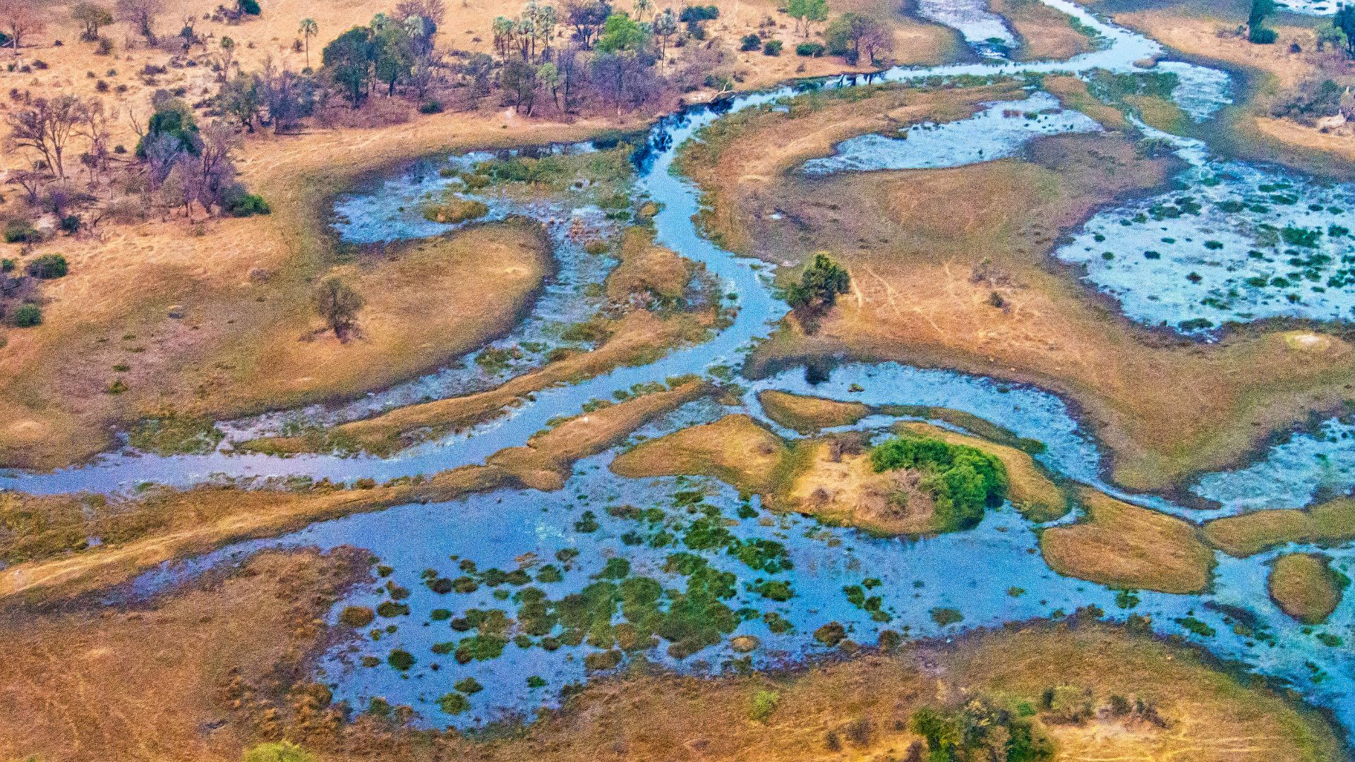 Vue aérienne des méandres du delta de l'Okavango au Botswana.