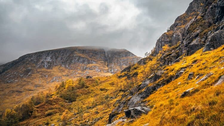 Paysage montagneux des Highlands avec rochers, herbes dorées et ciel brumeux