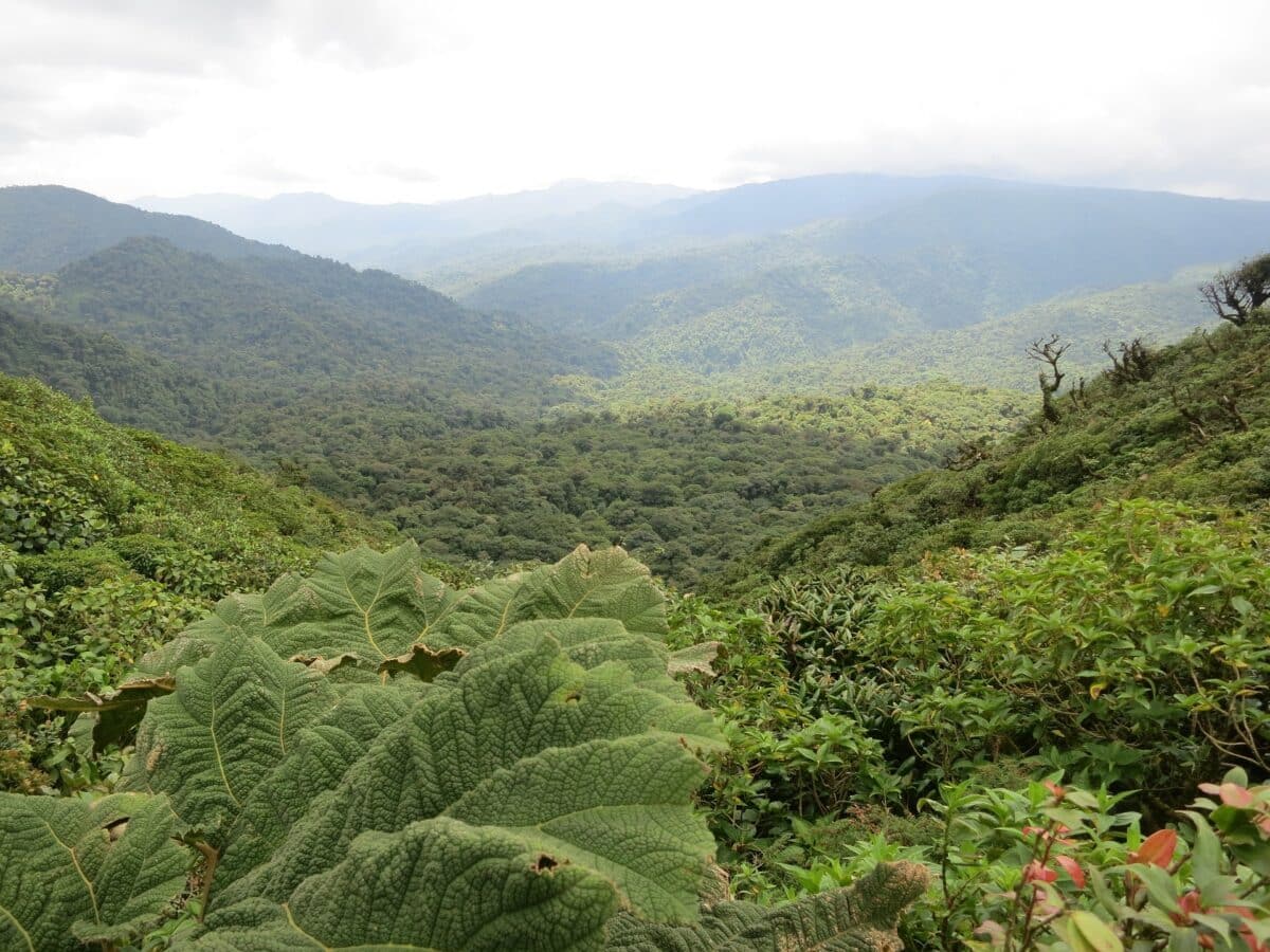 itinéraire unique en petit groupe au costa rica