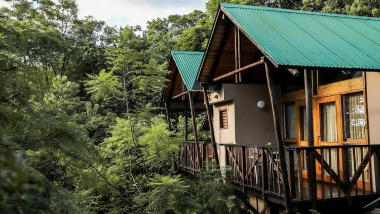 Lodges en bois entourés d'une végétation luxuriante en Afrique du Sud.