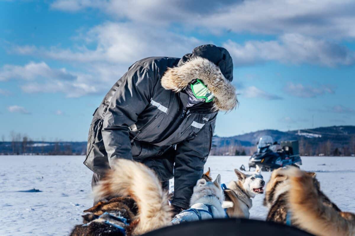 séjour chien de traineau canada