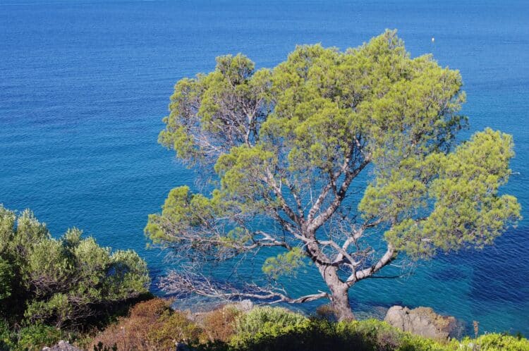 sentiers marche nordique calanques côtes estérel
