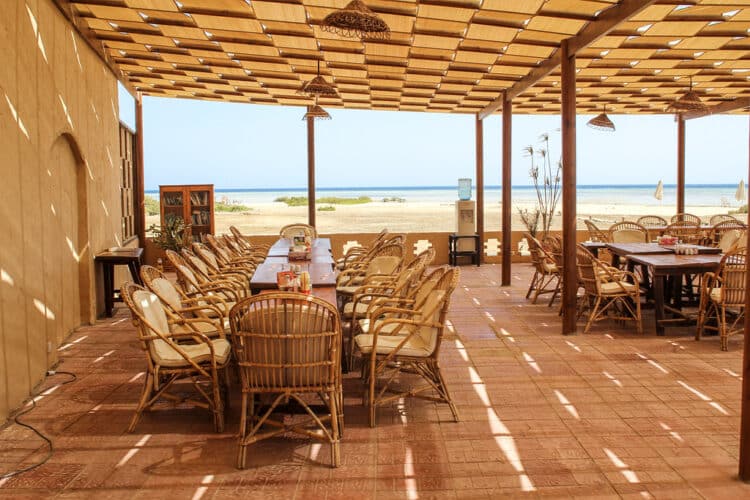 snorkeling dauphins égypte logement authentique
