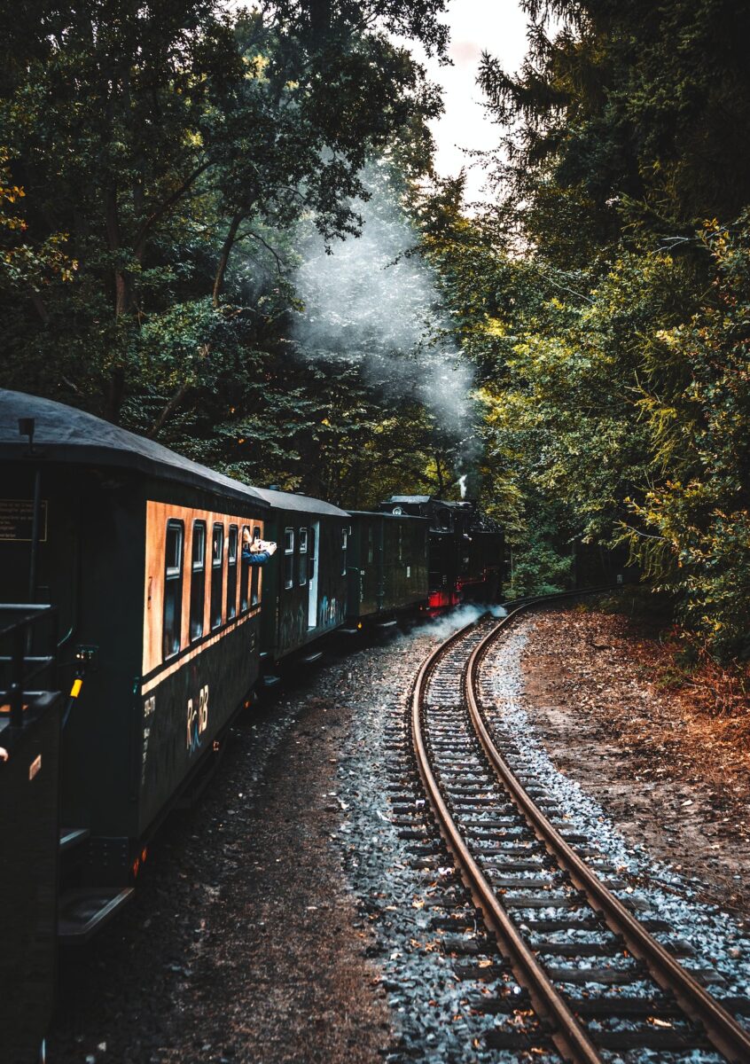 Train historique traversant les forêts d’Écosse sur un itinéraire mythique.