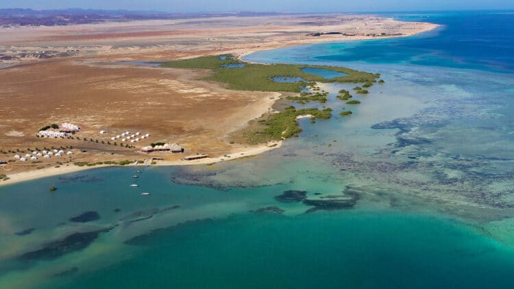 voyage spirituel dauphins sauvages égypte