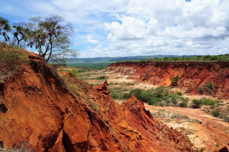 richesse perdue de madagascar