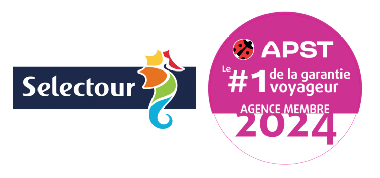 logo sélecteur + apst copie