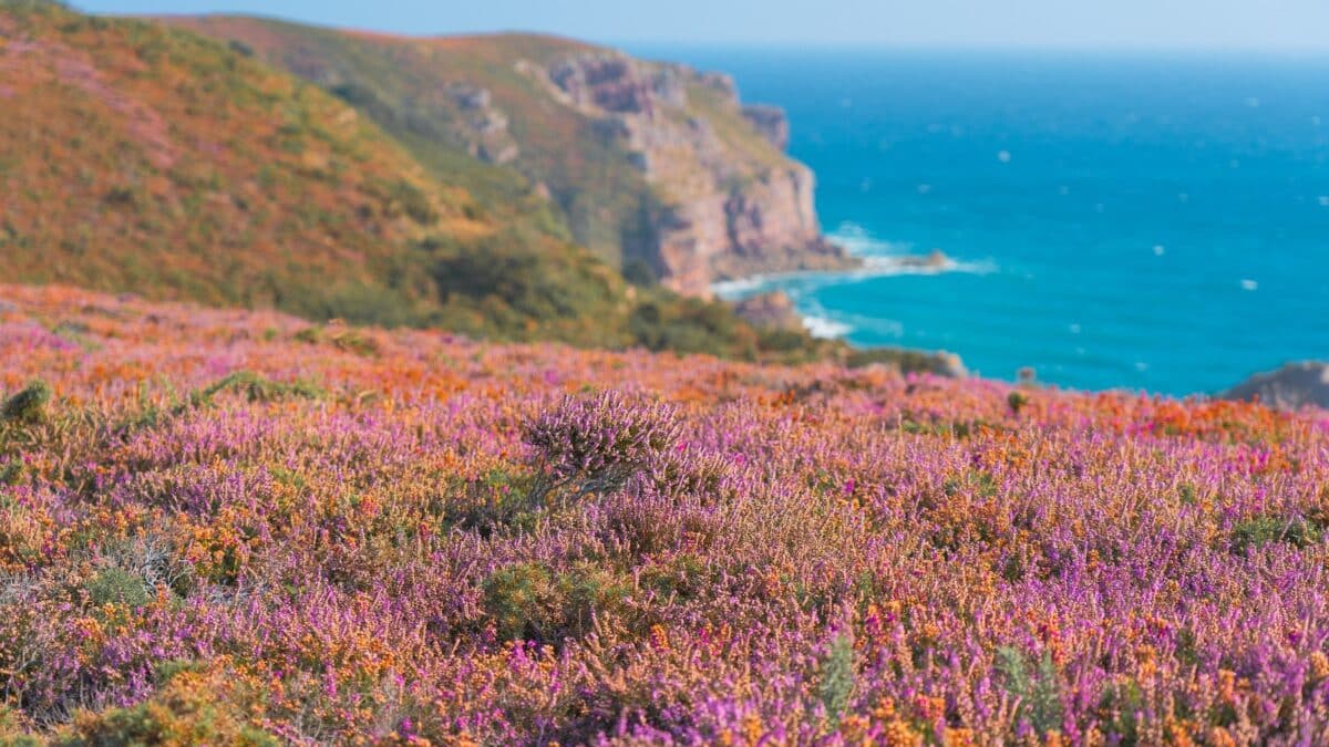 vacances en france insolite