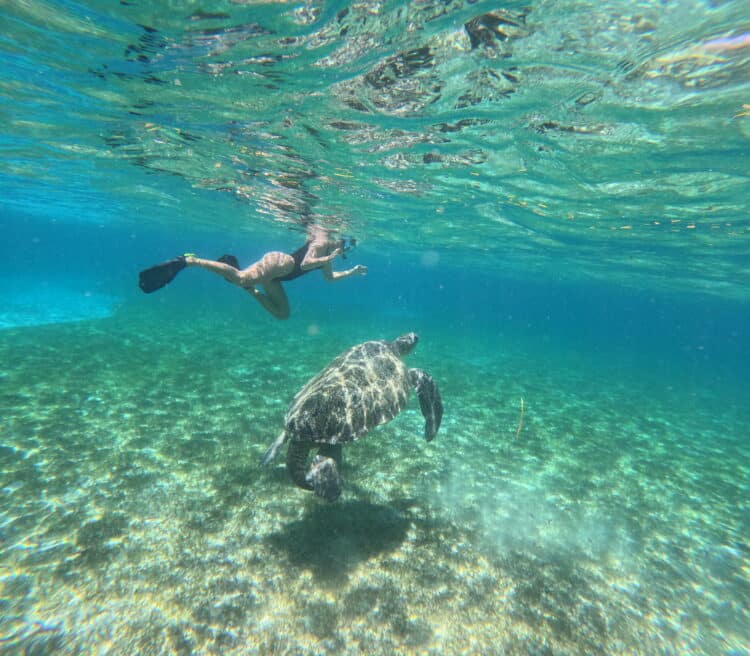 Plongeur nageant aux côtés d'une tortue dans les eaux claires de Madagascar.