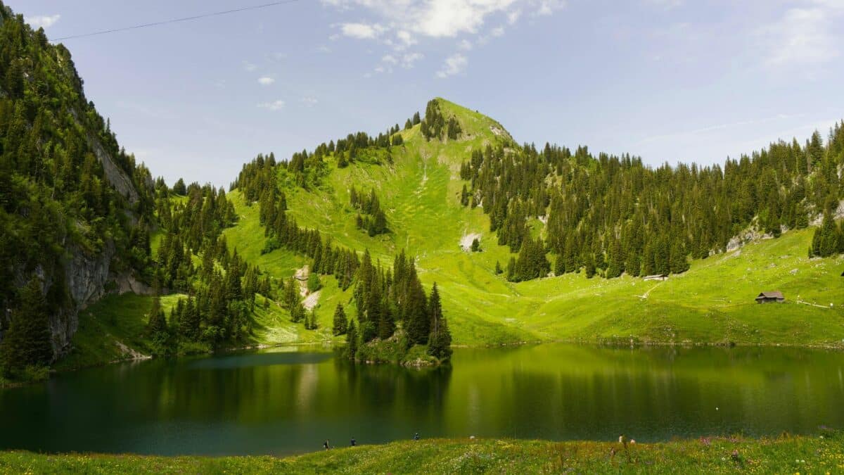 Lac suisse entouré de prairies verdoyantes et de montagnes avec quelques promeneurs