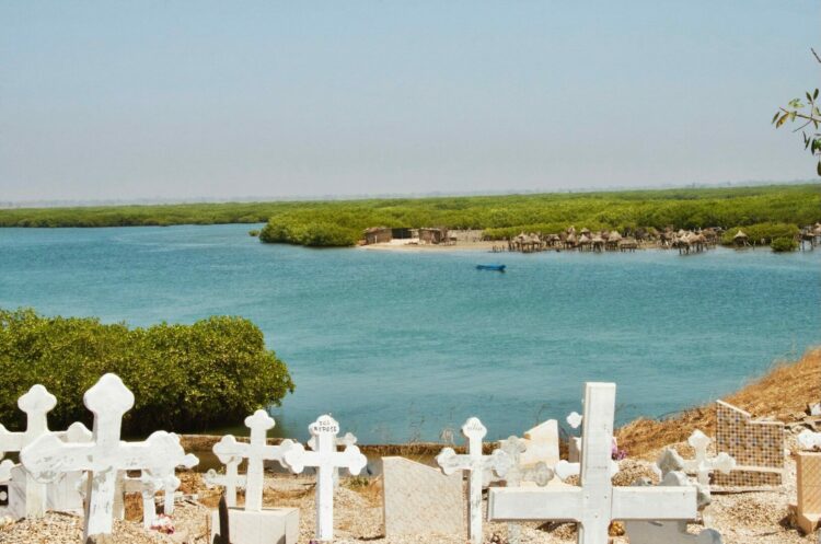 Vue panoramique sur le cimetière de Fadiouth et ses eaux environnantes.
