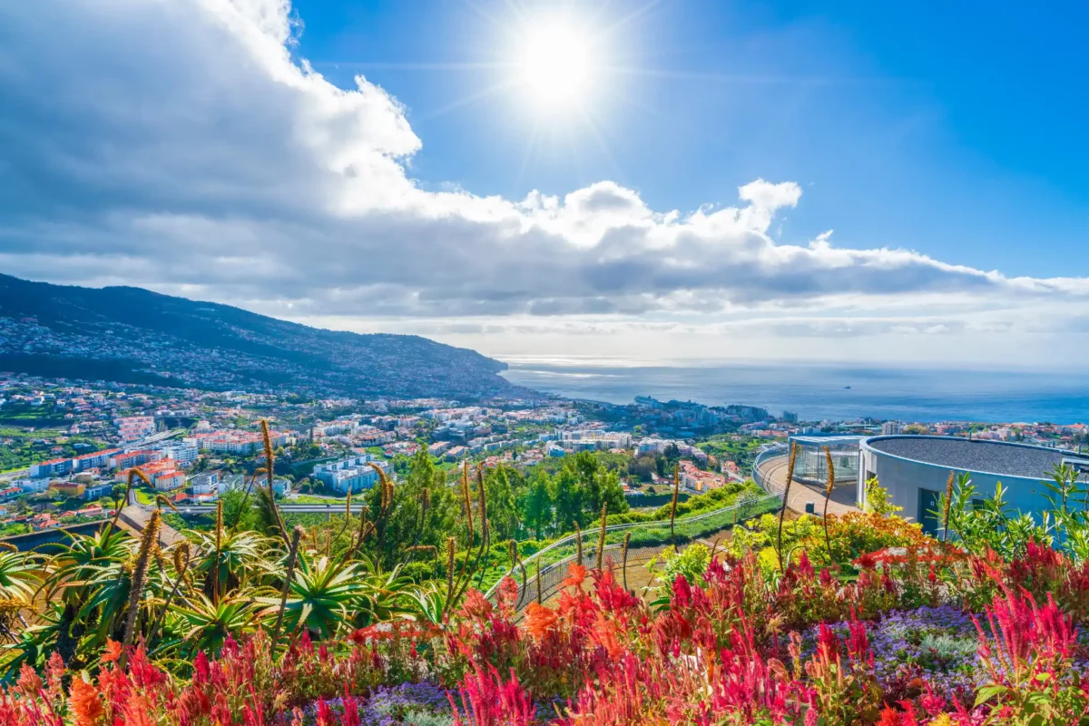 Vue panoramique sur Funchal, la capitale de Madère, depuis un jardin fleuri