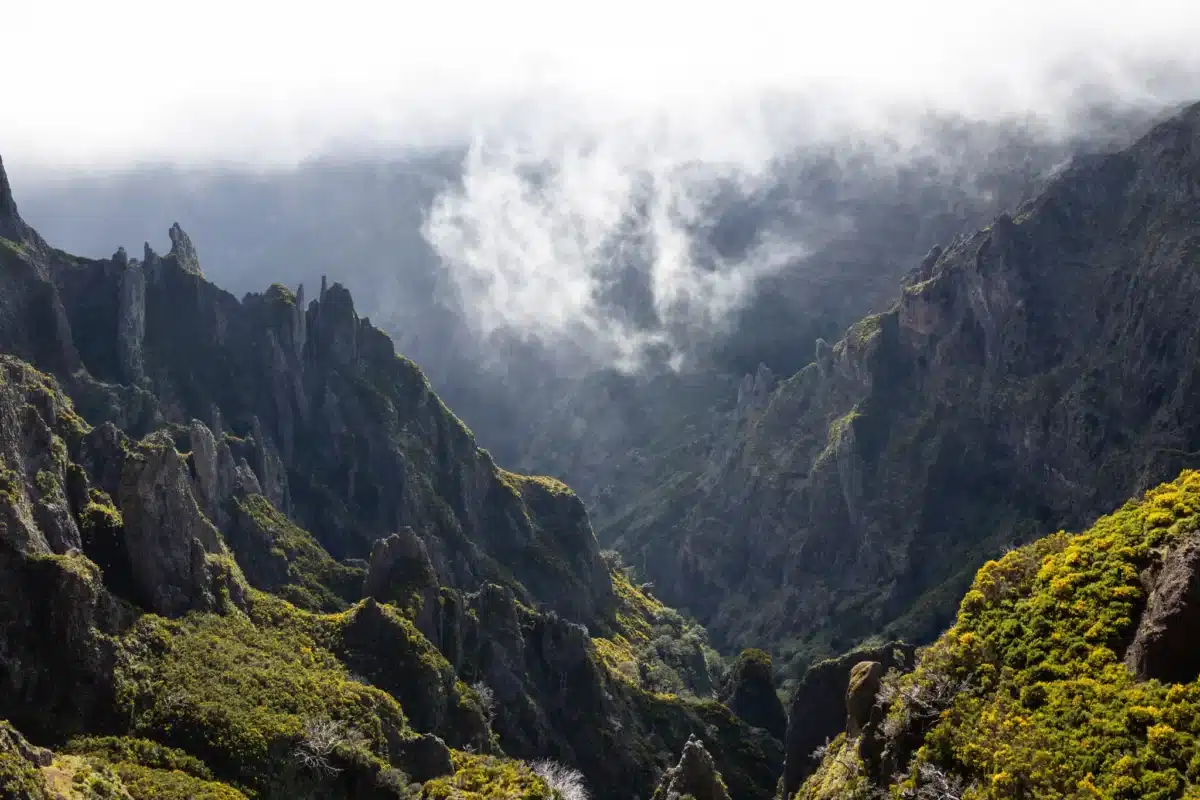 Paysage montagneux de Madère avec levadas entourées de brume, idéal pour la randonnée.