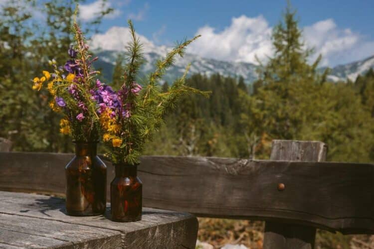 Fleurs sauvages en vase avec vue sur les montagnes