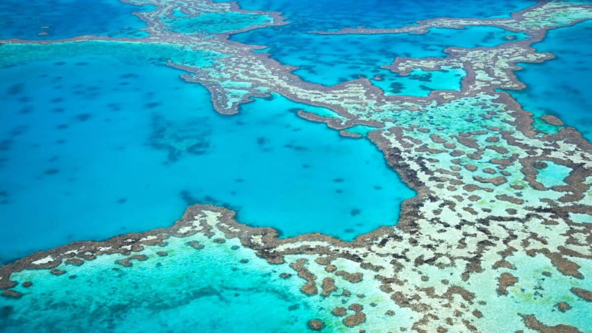 Vue aérienne de la Grande Barrière de corail en Australie avec lagons turquoise