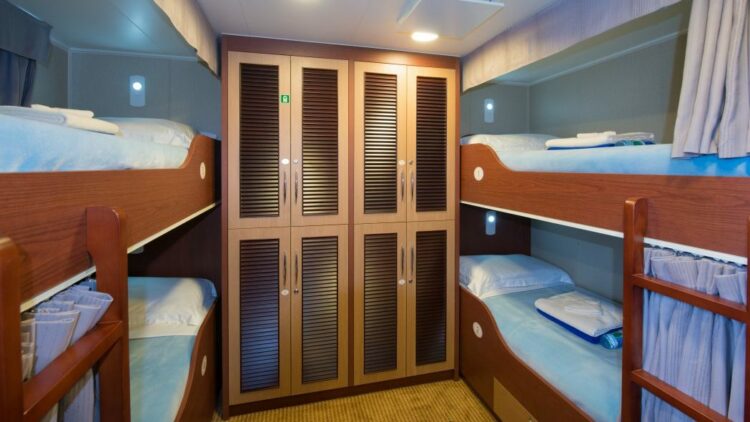 Cabine quadruple avec lits superposés à bord d’un navire de croisière en Polynésie