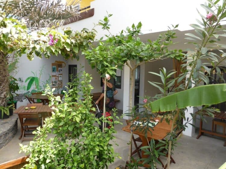Extérieur verdoyant et terrasse de la Kasa Tambla au Cap-Vert.