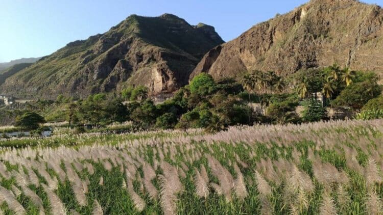 Vue panoramique sur la vallée de Paul au Cap-Vert depuis l’Oasis Paul.