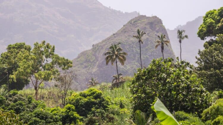 Vallée tropicale verdoyante et montagnes escarpées sur l’île de Santo Antão au Cap-Vert