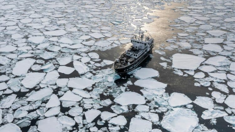 Navire d’expédition naviguant au milieu de la banquise dérivante au Groenland.