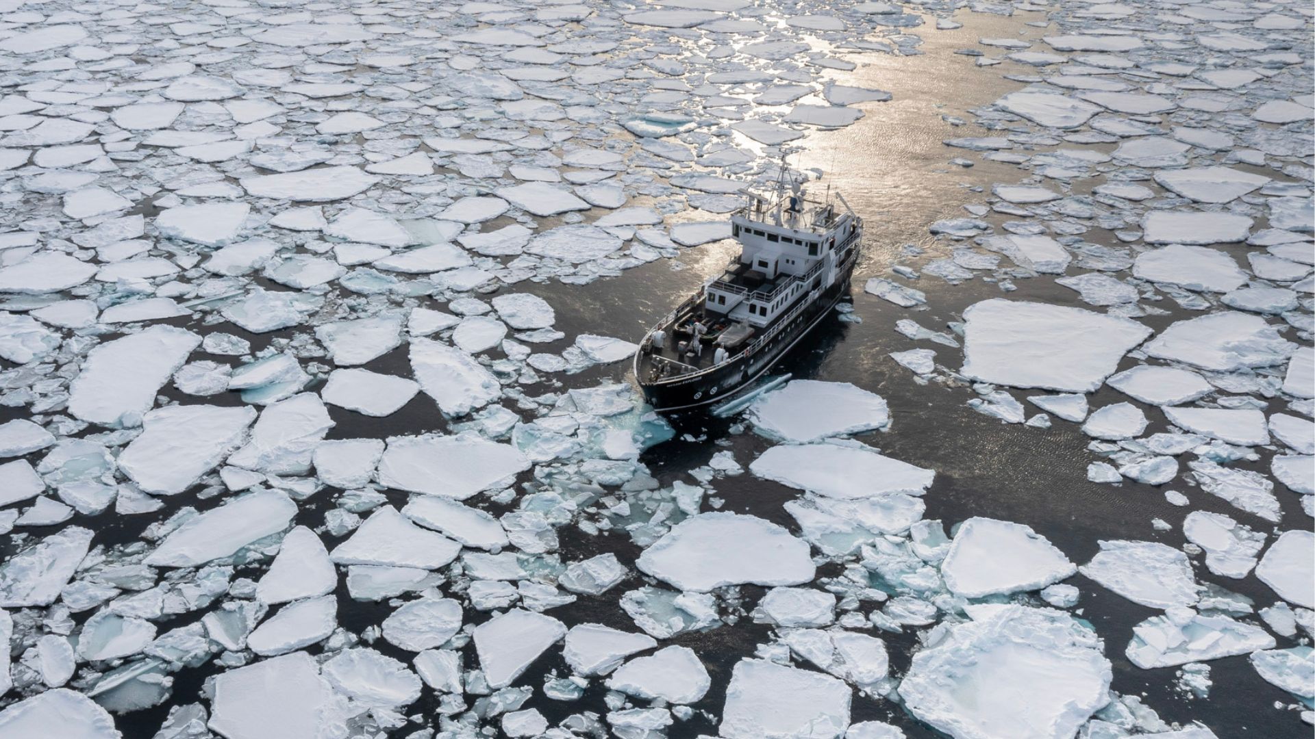 Navire d’expédition naviguant au milieu de la banquise dérivante au Groenland.