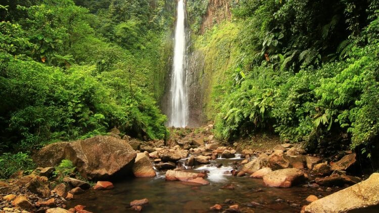 Chute d’eau des chutes du Carbet en Guadeloupe, cascade tombant au cœur de la forêt tropicale de Basse-Terre avec rochers et rivière au premier plan.