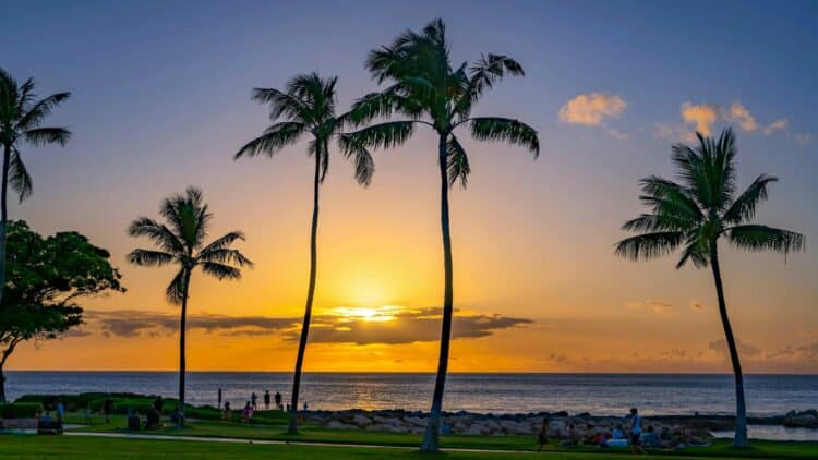 Coucher de soleil sur l’océan avec des palmiers silhouettés sur une plage à Hawaii