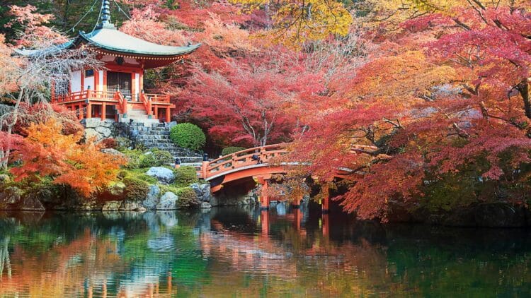 Temple traditionnel japonais entouré d’érables rouges avec un pont vermillon au-dessus d’un étang en automne
