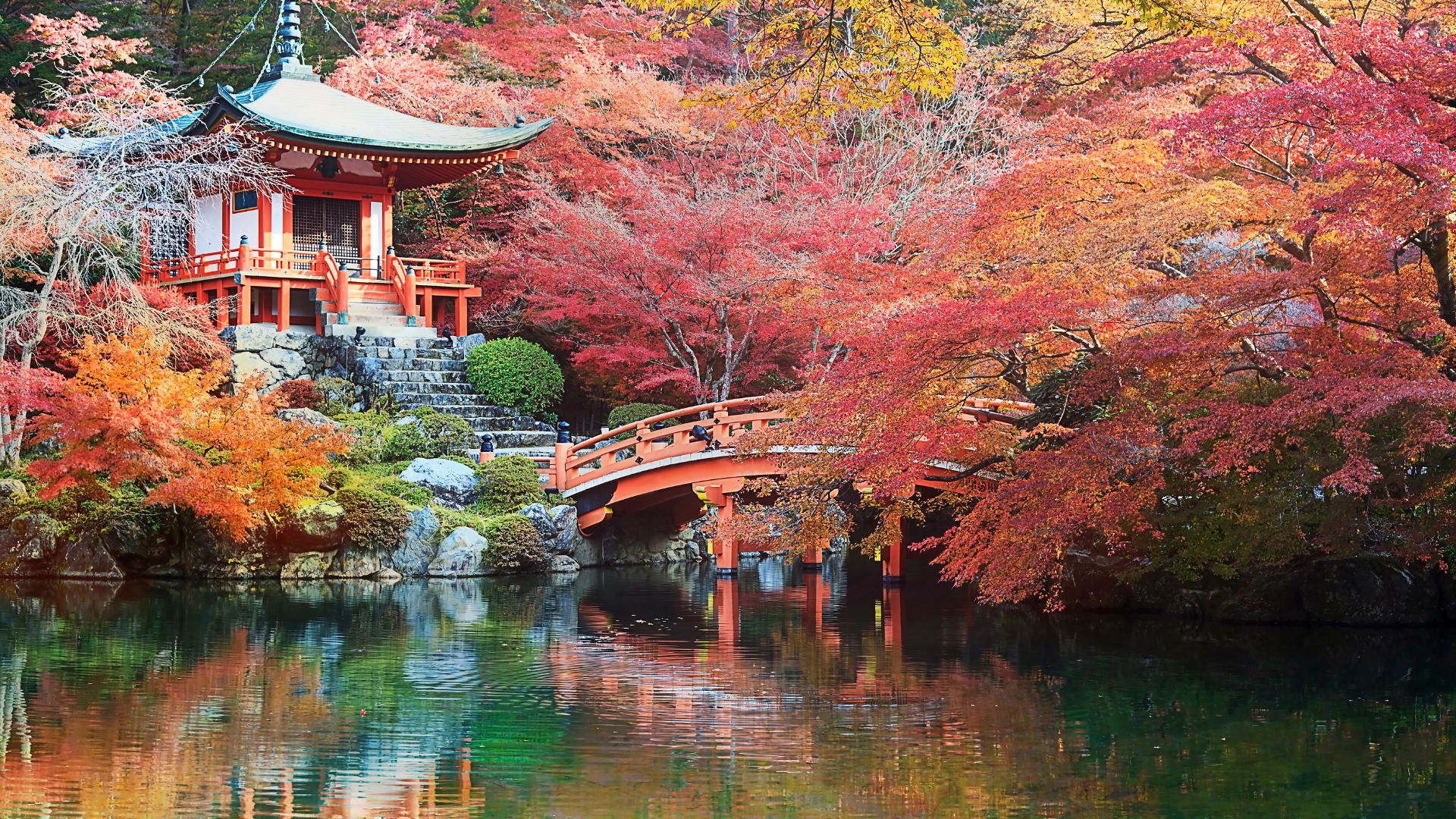 Temple traditionnel japonais entouré d’érables rouges avec un pont vermillon au-dessus d’un étang en automne