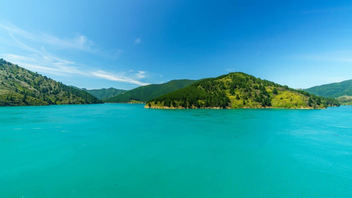 Vue sur les eaux turquoise et collines du détroit de Cook en Nouvelle-Zélande.