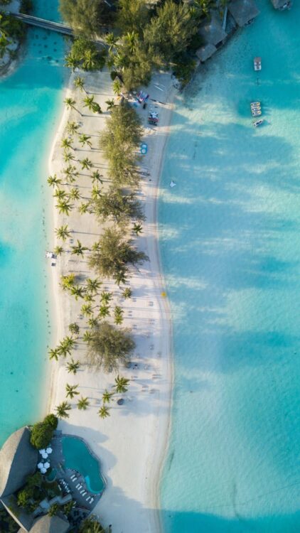 Vue aérienne d’une plage de sable clair bordée de palmiers en Polynésie française.