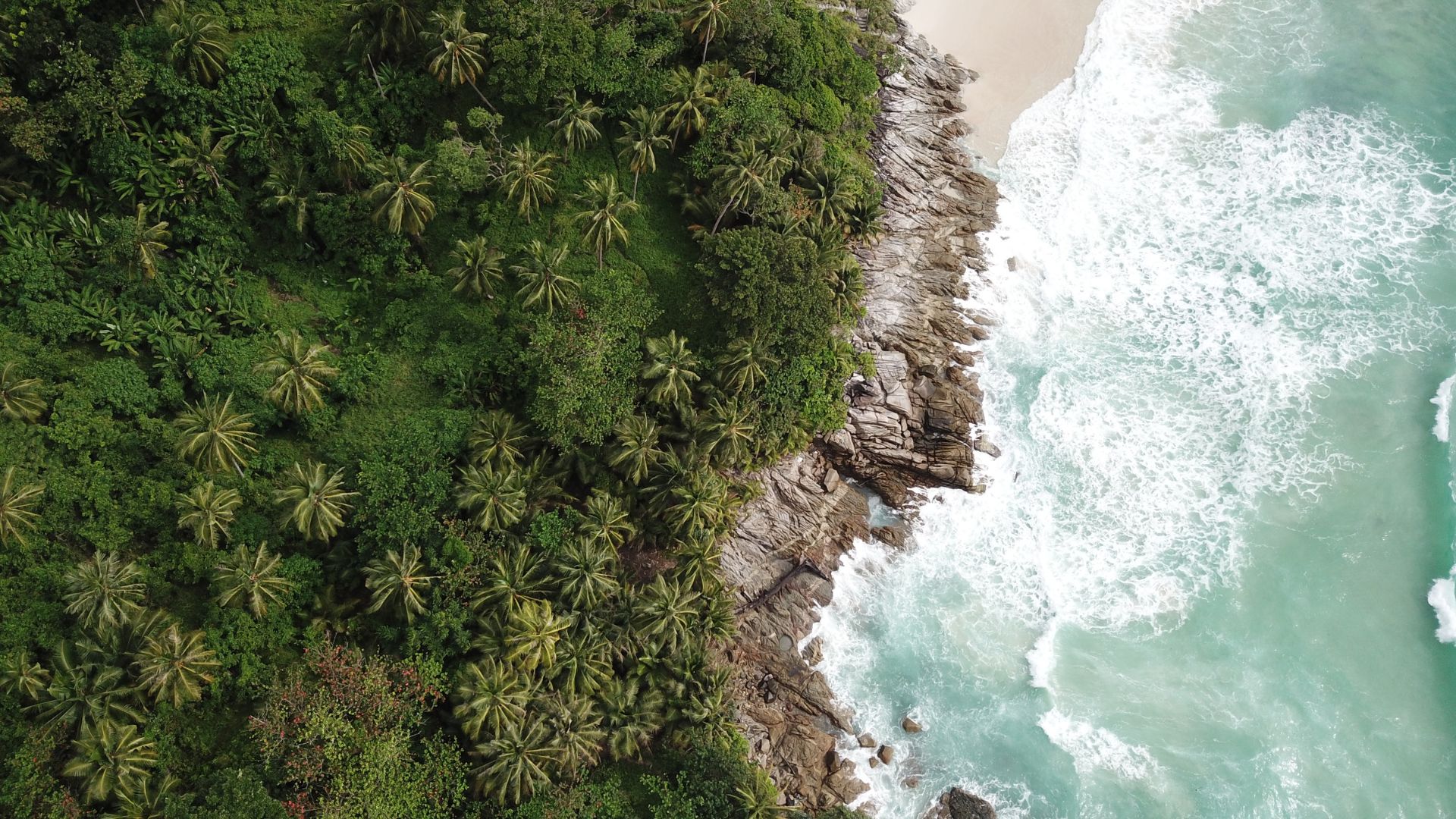 Vue aérienne d’une côte tropicale en Thaïlande avec jungle dense, palmiers et mer turquoise