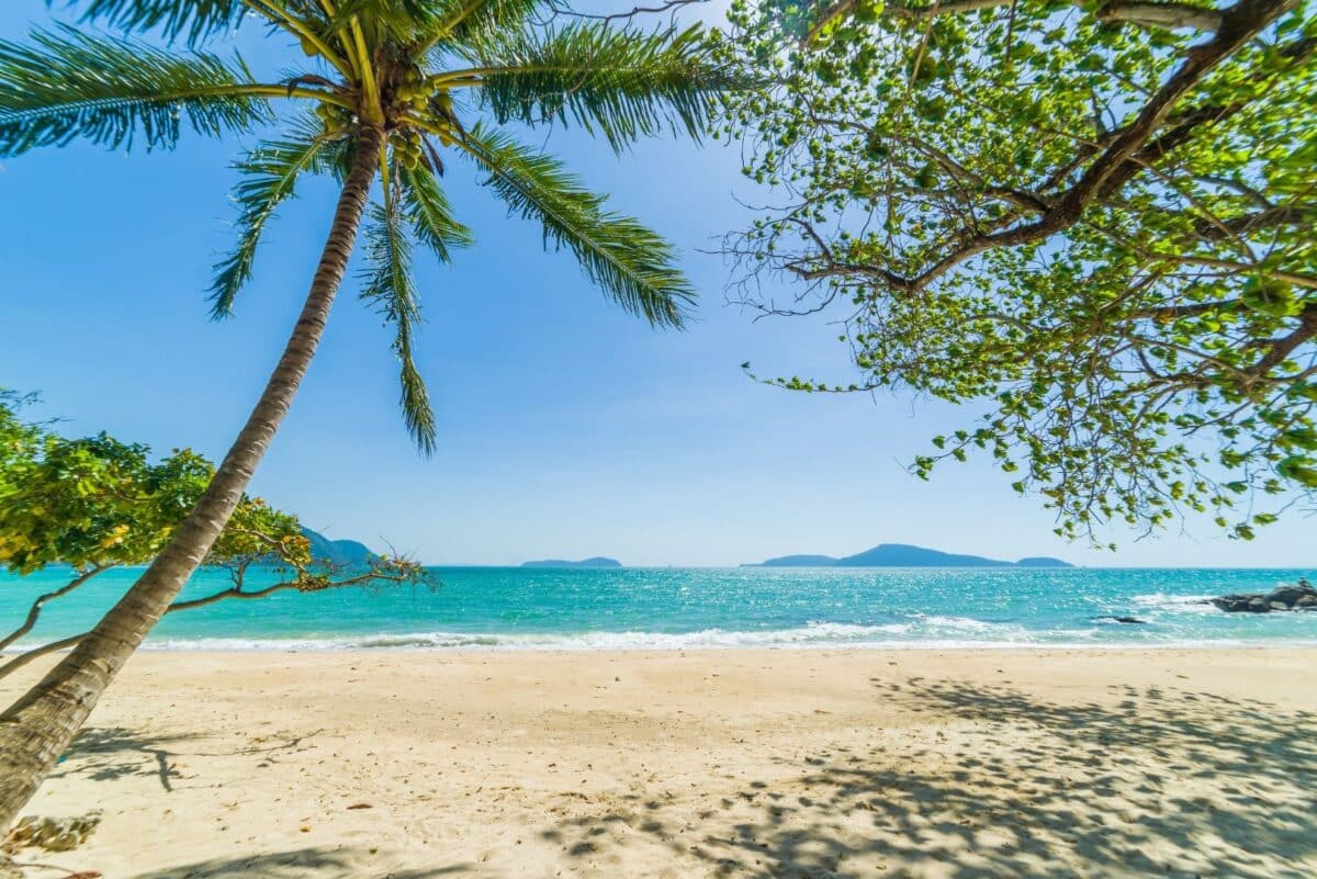 Plage de sable fin à Khao Lak bordée de palmiers et mer turquoise.