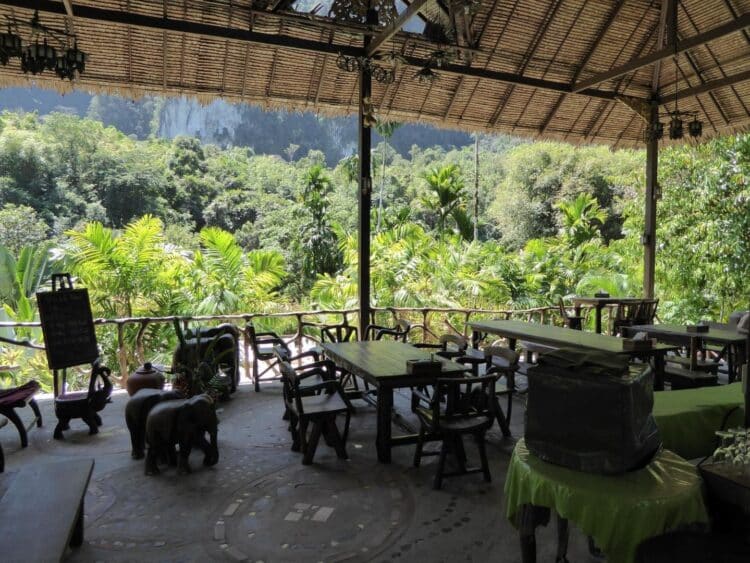 Espace restaurant ouvert sur la nature dans le camp d’Elephant Hills.