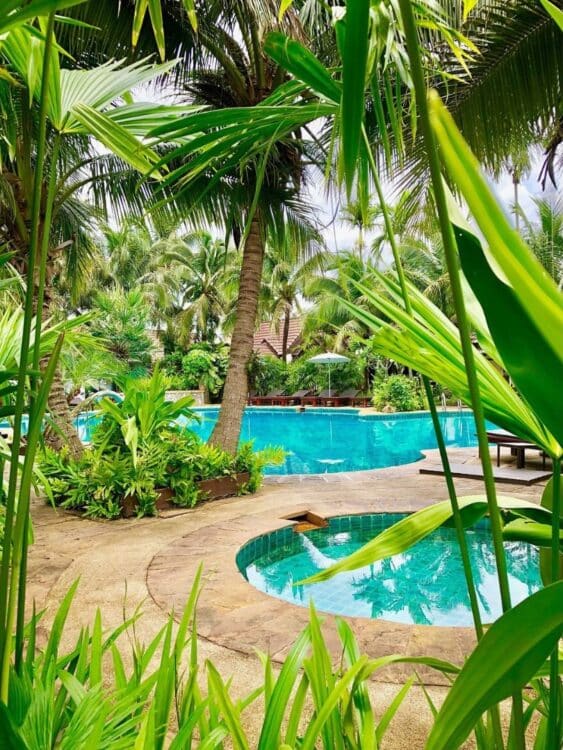 Piscine entourée de palmiers et végétation tropicale à Laluna.
