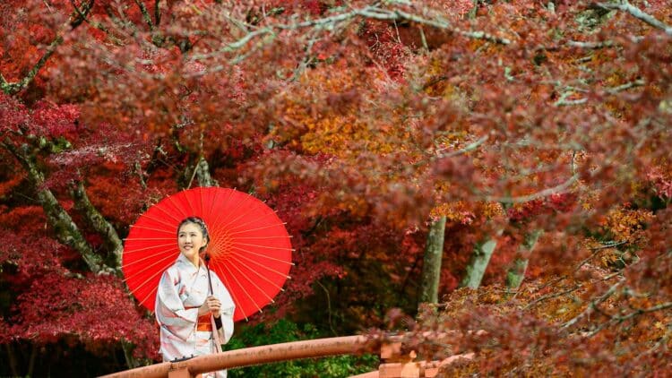 Femme en kimono tenant un parasol rouge sous des érables rouges en automne au Japon