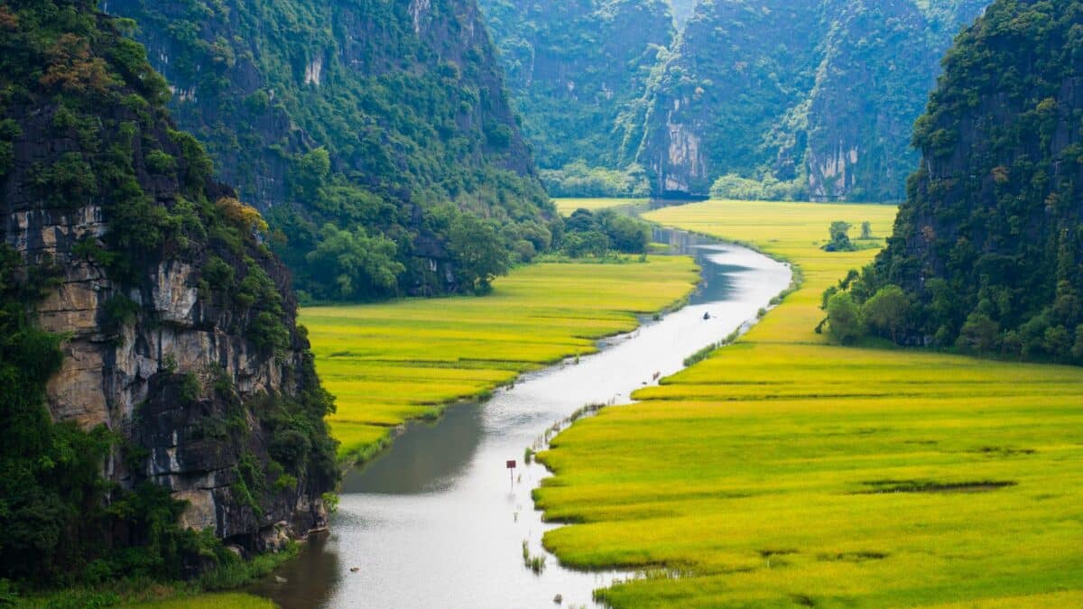 Rivière serpentant entre des rizières verdoyantes entourées de montagnes karstiques à Vang Vieng au Laos