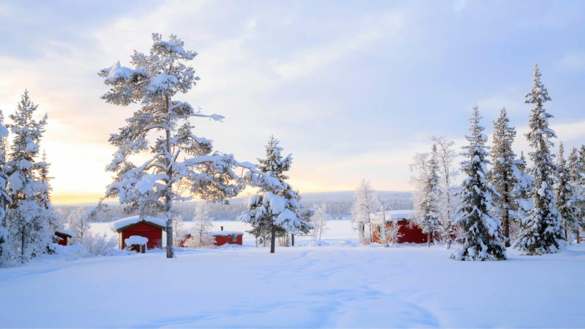 Paysage enneigé avec chalets rouges et arbres couverts de neige en Suède