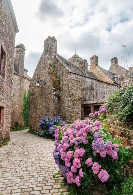 ruelle village bretagne maisons pierre hortensias fleurs