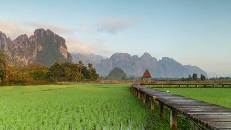 Pont en bois traversant des rizières avec montagnes karstiques en arrière-plan à Vang Vieng au Laos