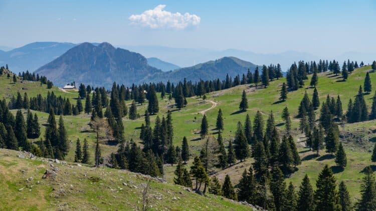 Paysage de Velika Planina avec prairies verdoyantes, chalets traditionnels et montagnes en Slovénie
