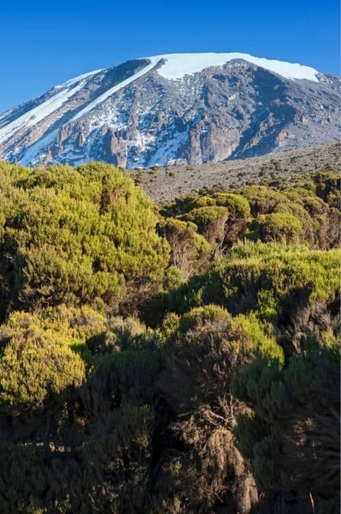 mont Kilimandjaro paysage naturel en Afrique