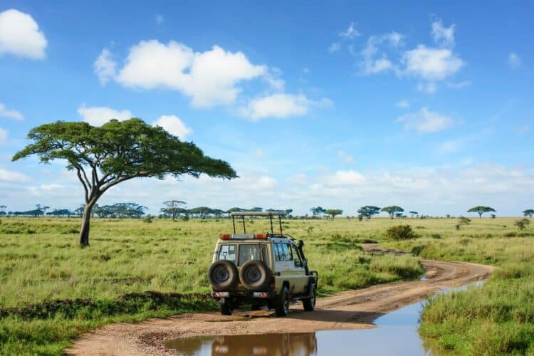 voyage afrique safari savane 4x4