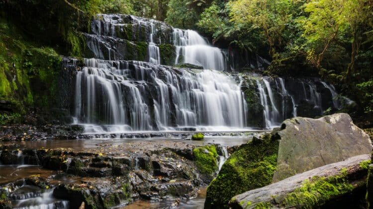 Cascade en paliers dans une forêt dense et verdoyante en Nouvelle-Zélande