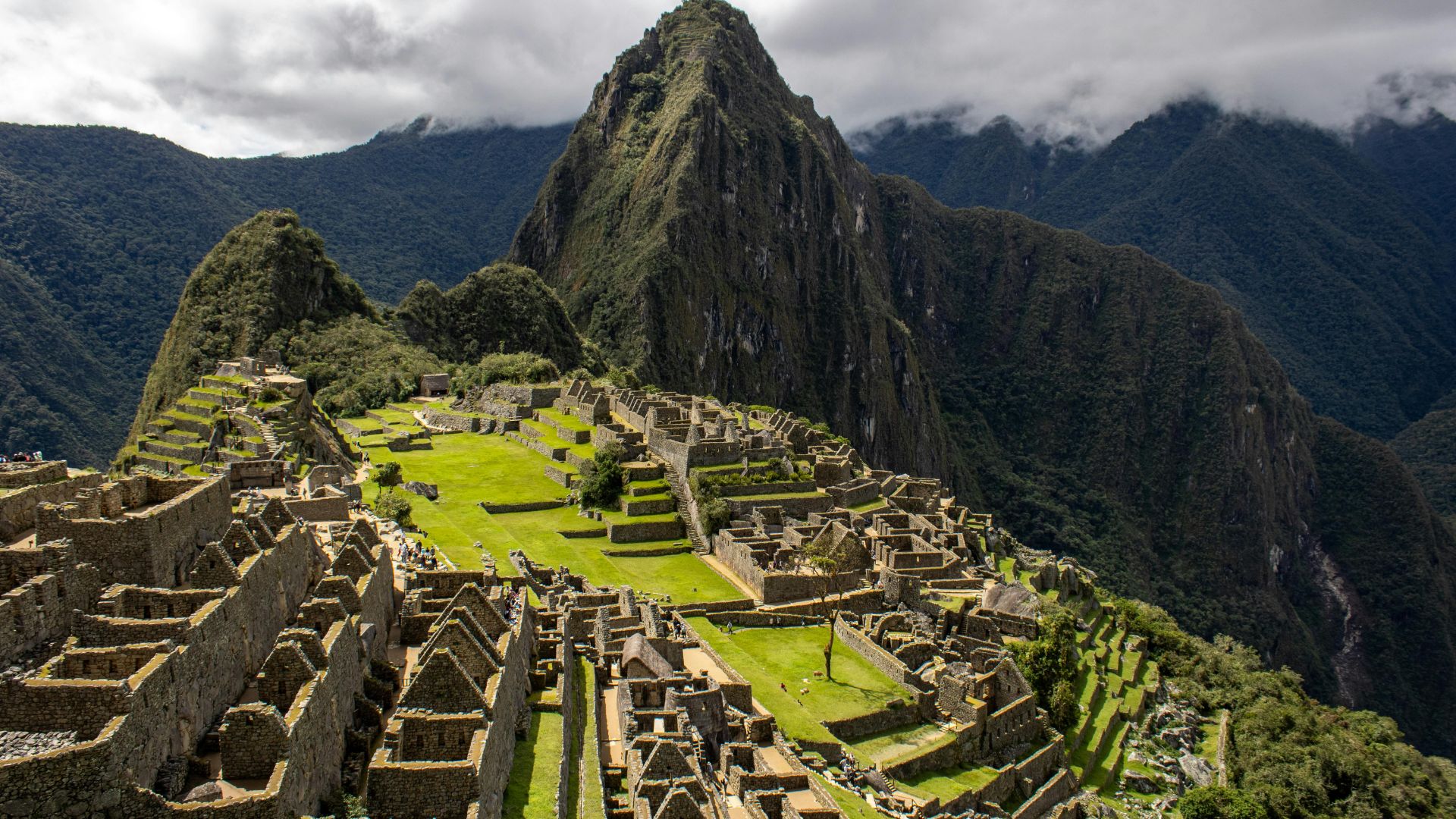 Site du Machu Picchu avec terrasses incas et montagnes environnantes au Pérou