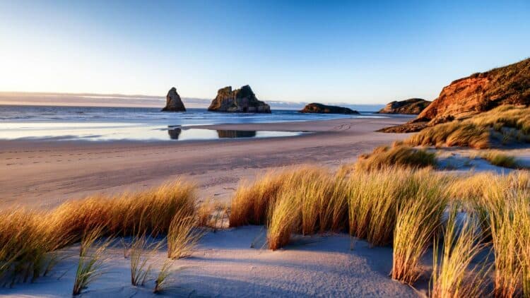 Plage sauvage avec dunes et formations rocheuses au large en Nouvelle-Zélande